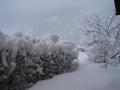 components/com_mambospgm/spgm/gal/Winter 2006/Winter pur/_thb_DSC00908.JPG